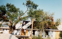 Building roof