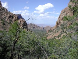 Highlight for Album: Big Bend, April 2003