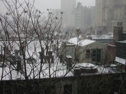 Storm hits around noon
