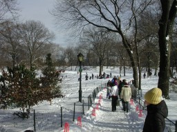 Entering the park