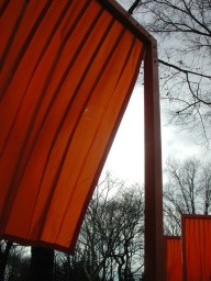 Backlit gate