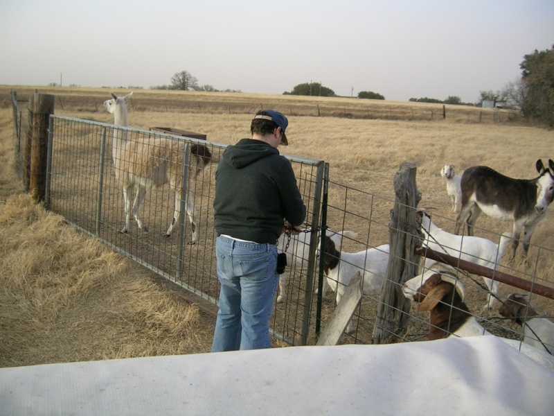 Goat visit