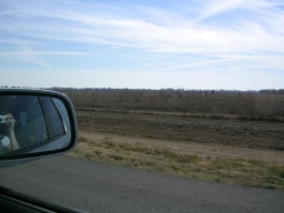 Somewhere in Lousiana 