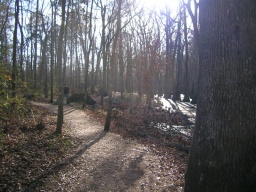 Jack moving down the trail 