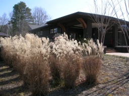 Elvis birthplace museum 
