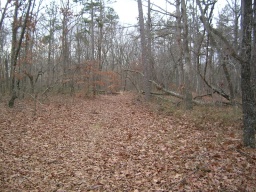 Old Trace 