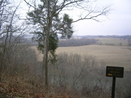 Trace Overlook 