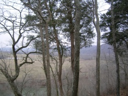 Trace Overlook 