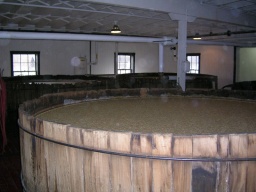 Fermentation 