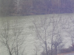 View of Monongahela River from room in Radisson, Morgantown, WV 