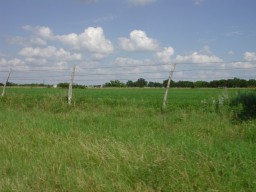 Farm, June 2002