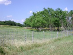 Farm, June 2002