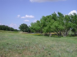 Farm, June 2002