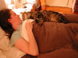 Sweet sleepers
